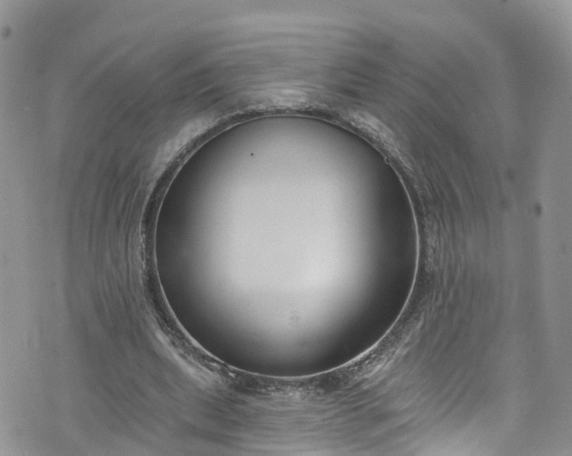 X0000076400439200610161209