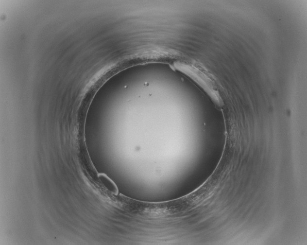 X0000076400440200610161209