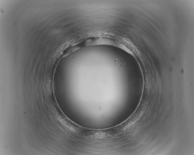 X0000076400441200610161209