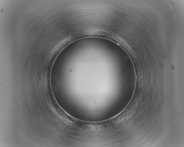 X0000076400442200610161209