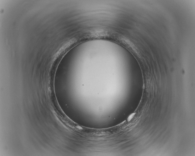 X0000076400443200610161209