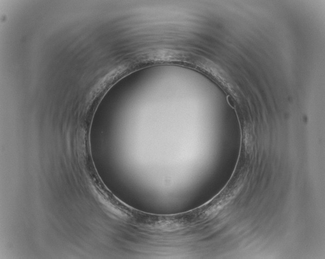 X0000076400445200610161209