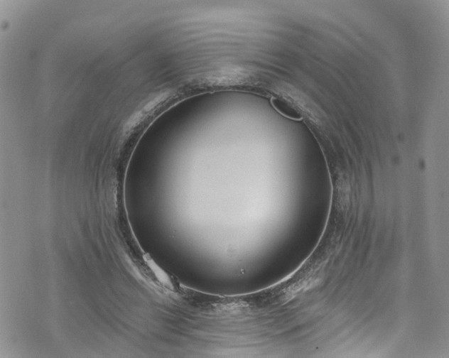 X0000076400446200610161209