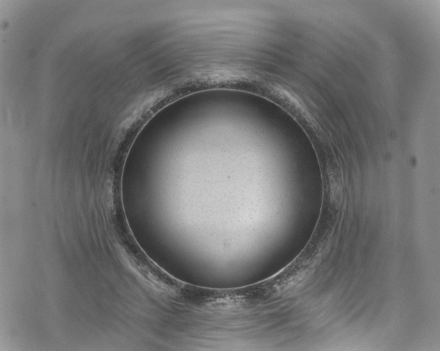 X0000076400447200610161209