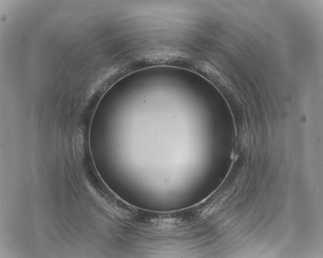 X0000076400448200610161209