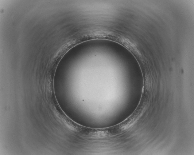 X0000076400449200610161209