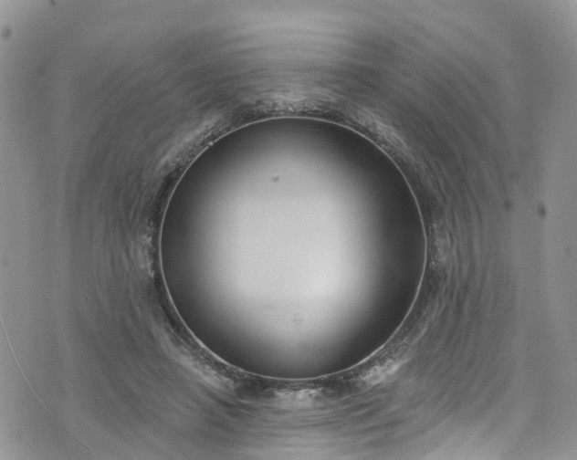 X0000076400450200610161209