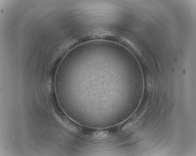 X0000076400451200610161209