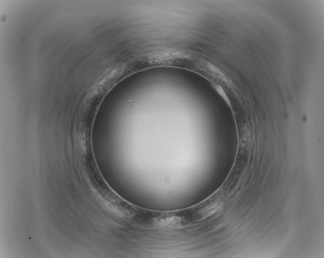 X0000076400452200610161209