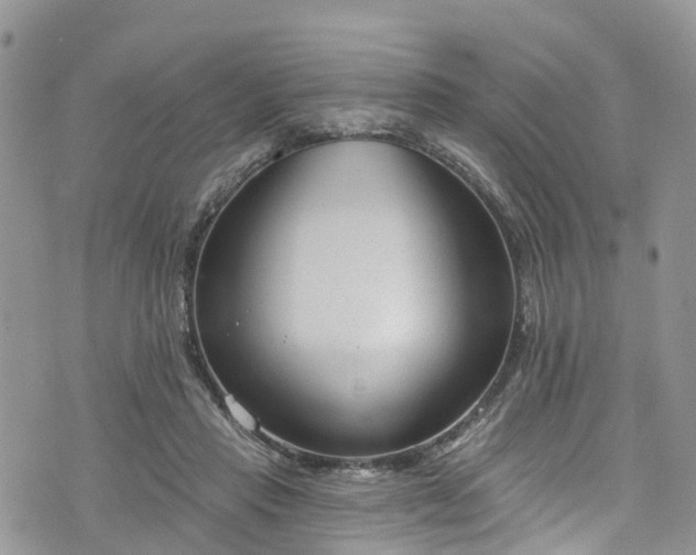 X0000076400453200610161209