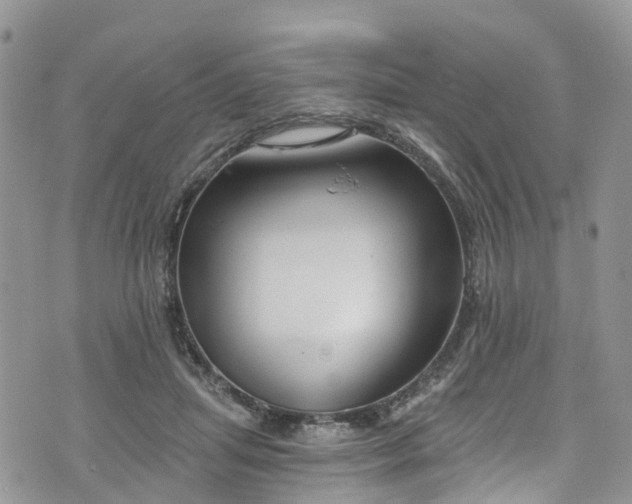 X0000076400455200610161209