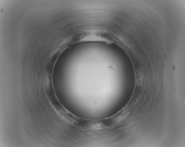 X0000076400456200610161209