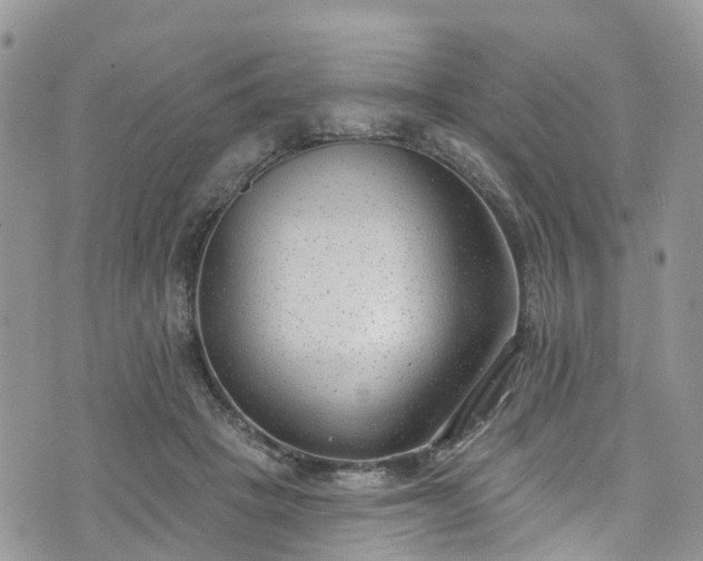 X0000076400457200610161209