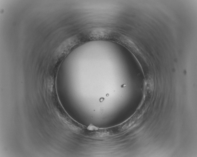 X0000076400458200610161209