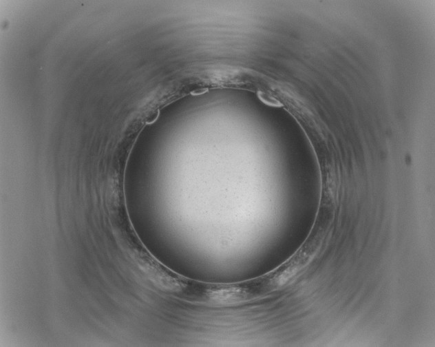 X0000076400461200610161209