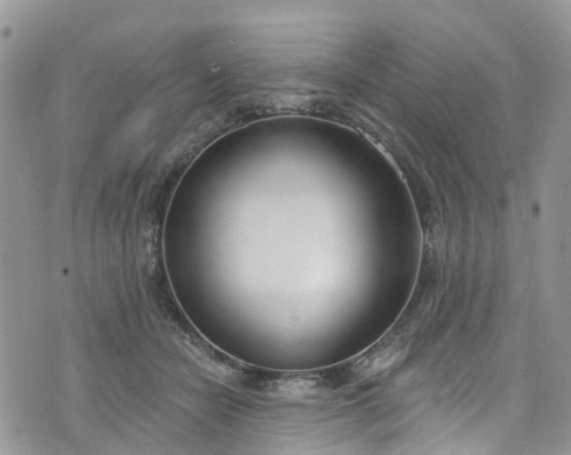 X0000076400462200610161209