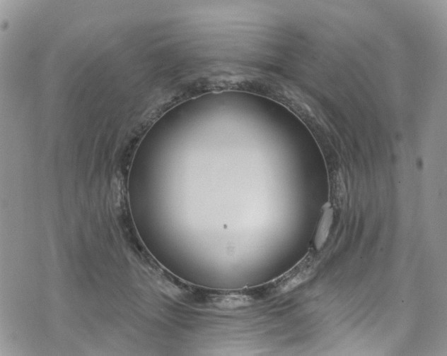 X0000076400463200610161209