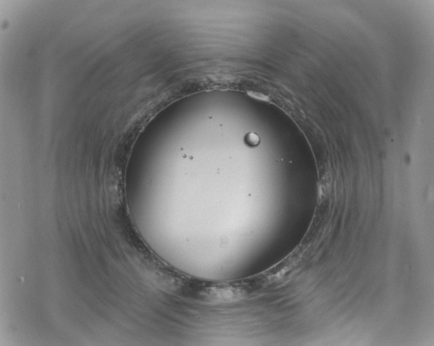 X0000076400464200610161209