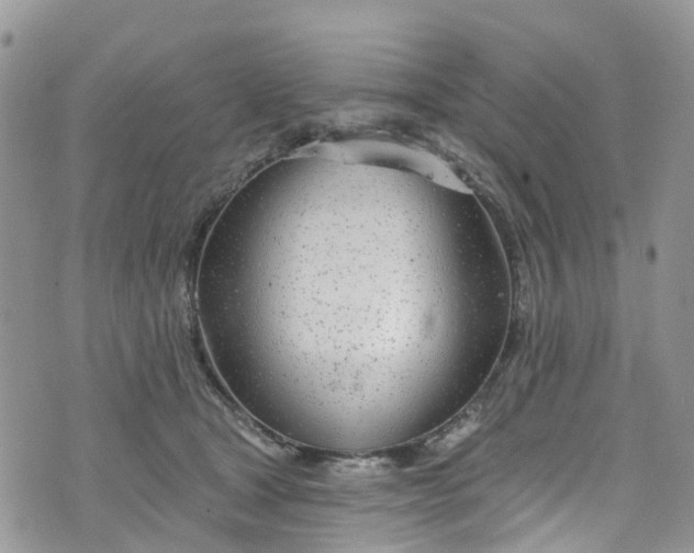 X0000076400465200610161209