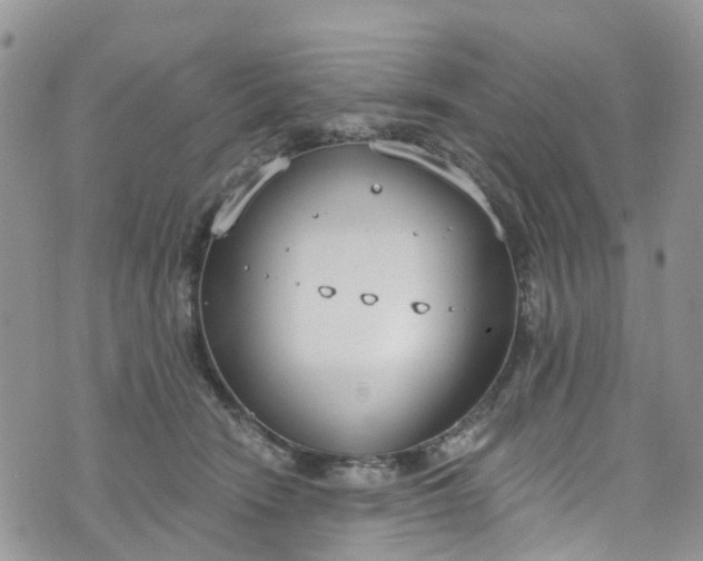 X0000076400466200610161209