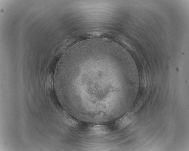 X0000076400467200610161209