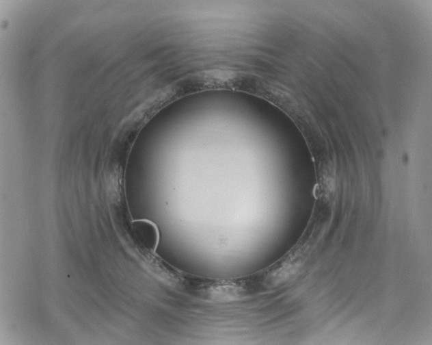 X0000076400468200610161209