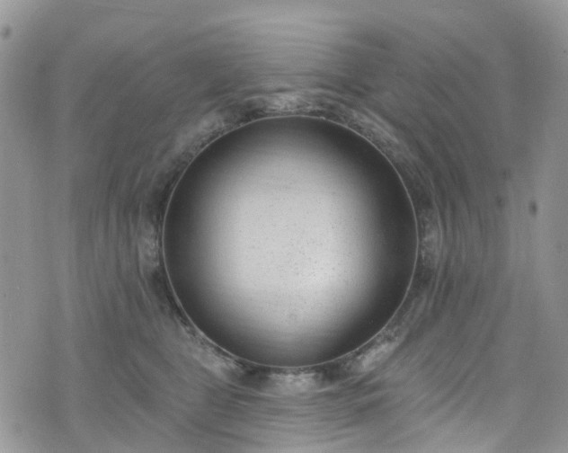 X0000076400469200610161209