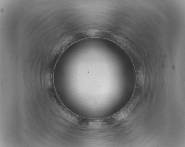 X0000076400470200610161209