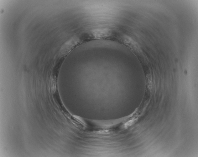 X0000076400471200610161209