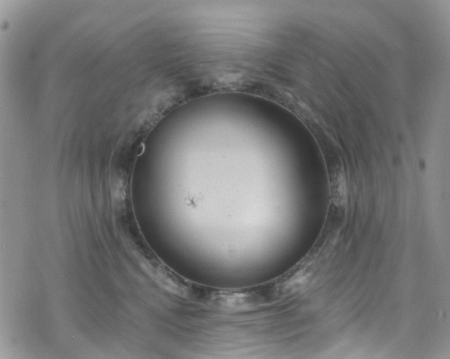 X0000076400472200610161209