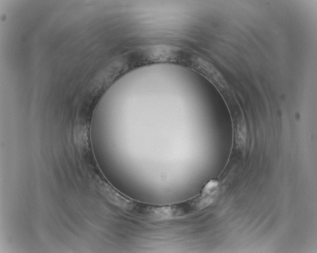 X0000076400473200610161209