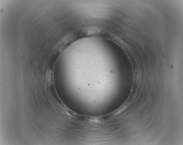 X0000076400475200610161209