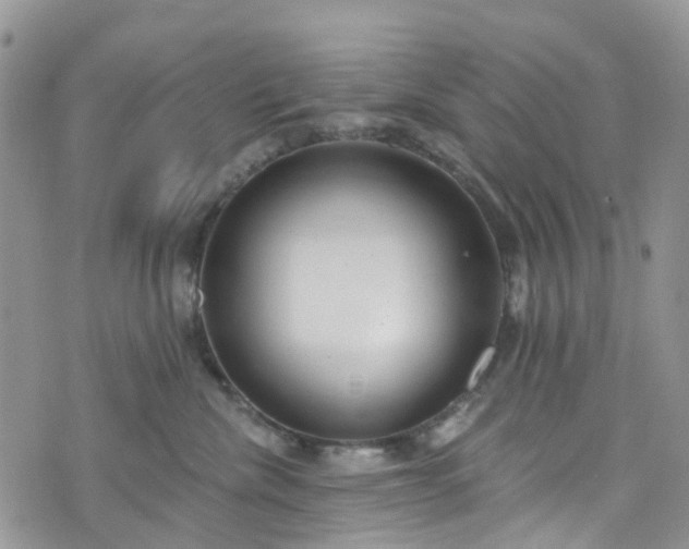 X0000076400476200610161209