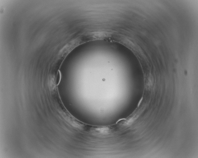 X0000076400478200610161209