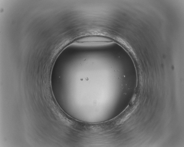 X0000076400481200610161209