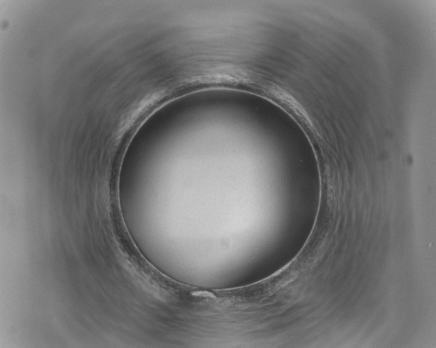 X0000076400482200610161209