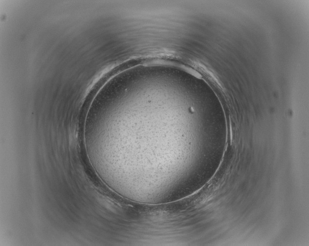 X0000076400483200610161209