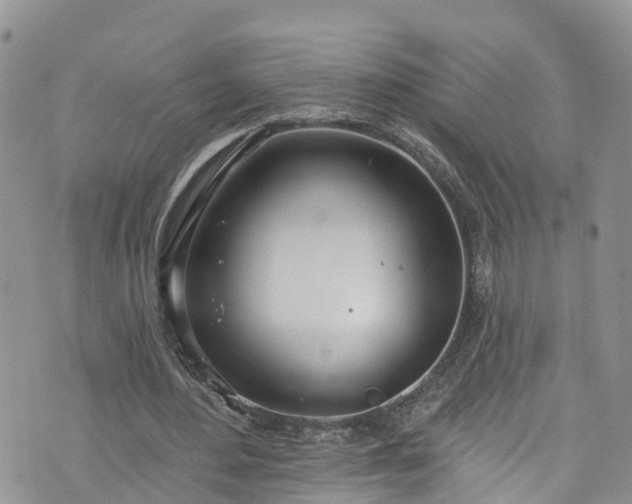 X0000076400484200610161209