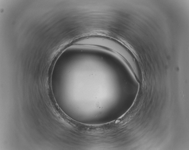 X0000076400485200610161209