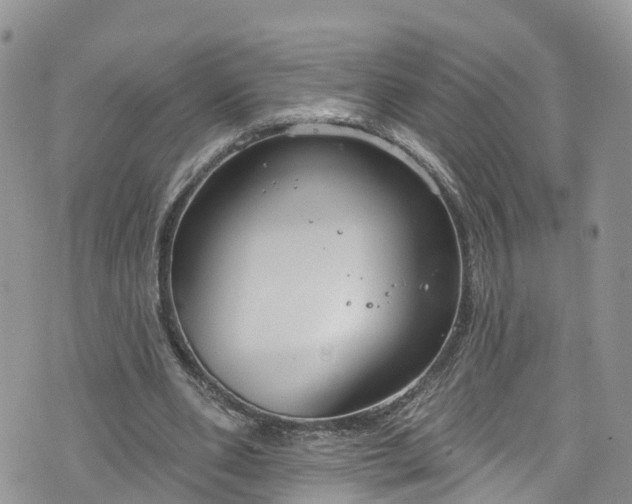 X0000076400486200610161209