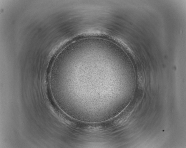 X0000076400487200610161209