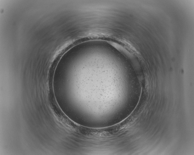 X0000076400488200610161209