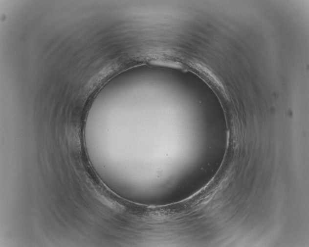 X0000076400489200610161209