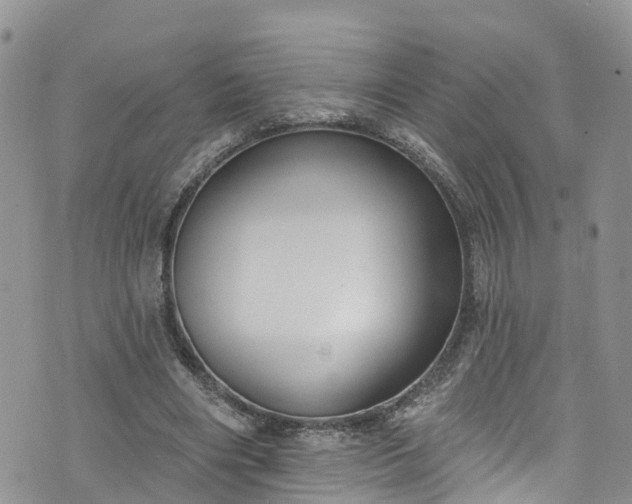 X0000076400490200610161209