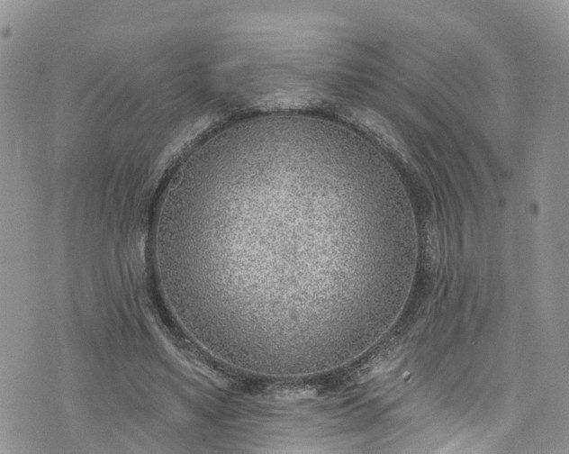 X0000076400491200610161209