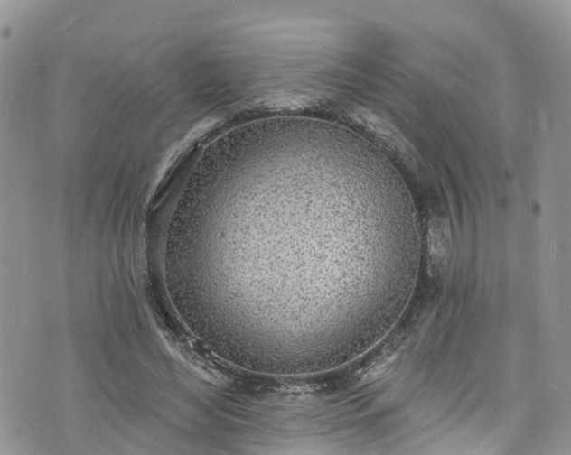 X0000076400492200610161209