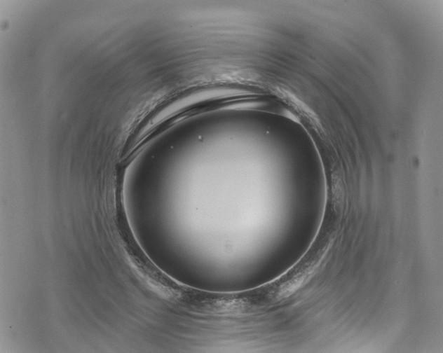 X0000076400493200610161209