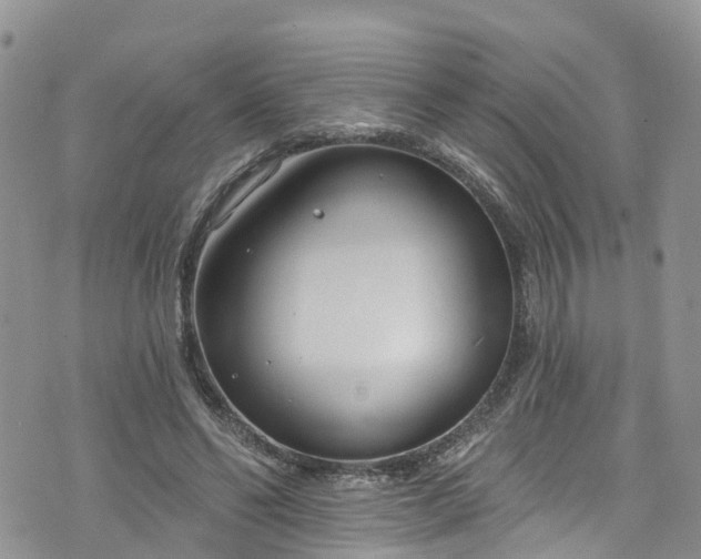 X0000076400494200610161209