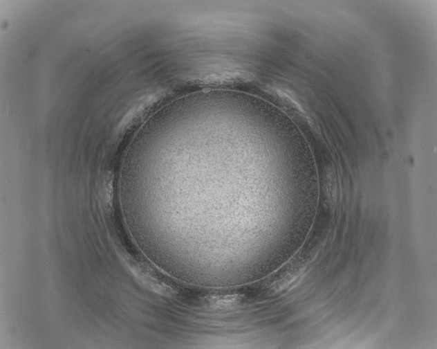 X0000076400495200610161209