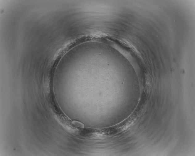 X0000076400496200610161209